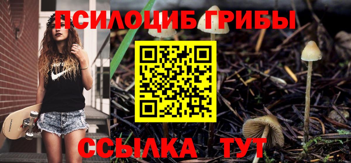 Псилоцибиновые грибы GOLDEN TEACHER  Вход с VPN  Тимашёвск 