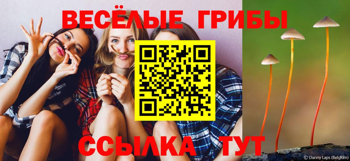 Галлюциногенные грибы Magic Shrooms Тимашёвск
